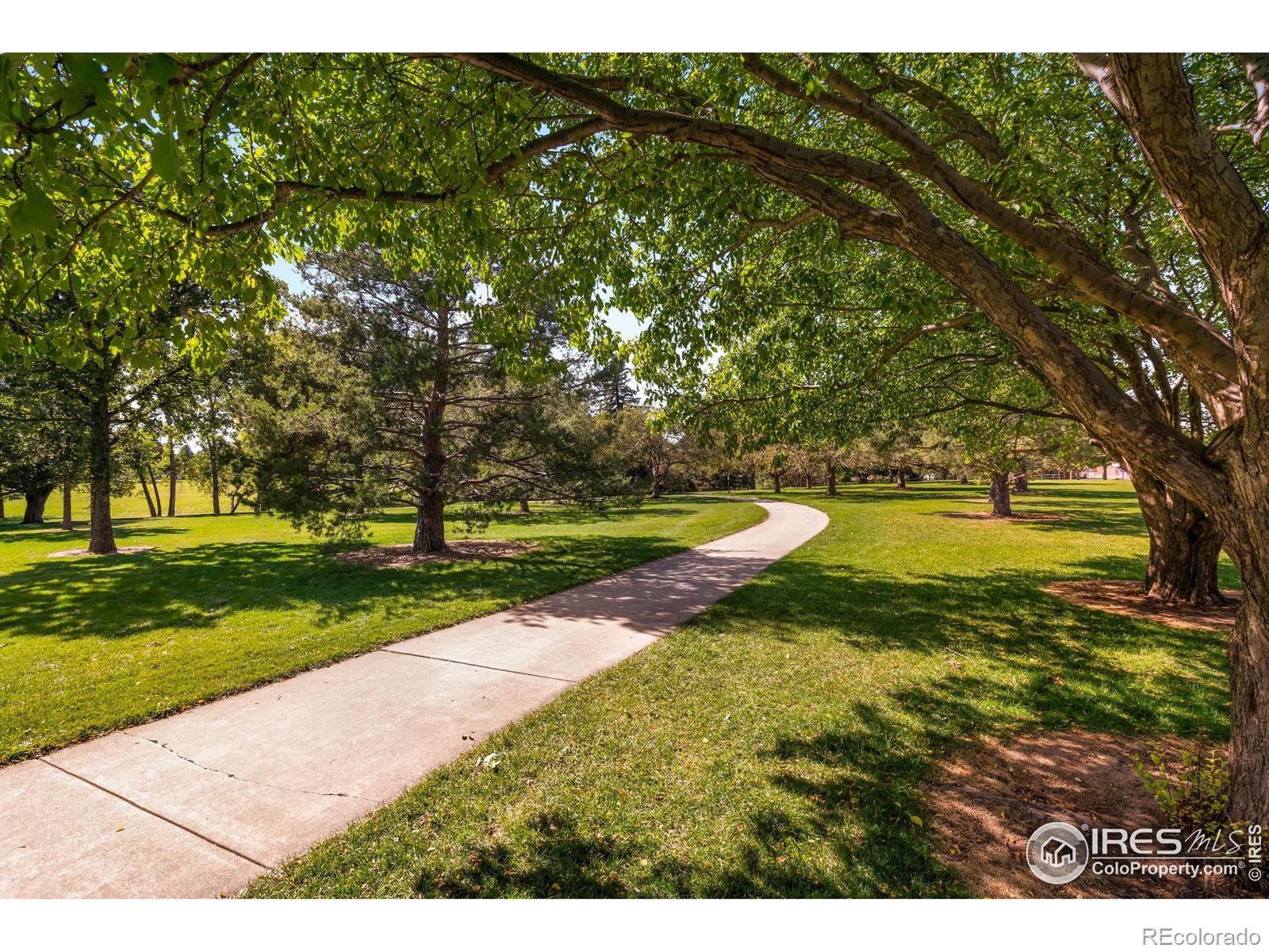 MLS Image #11 for 637  bear creek drive,fort collins, Colorado