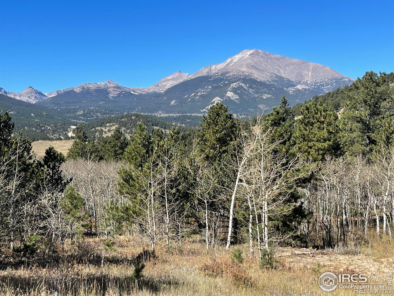 CMA Image for 8465  highway 7 ,Allenspark, Colorado