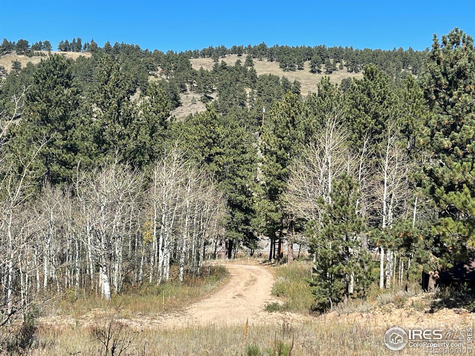 MLS Image #2 for 16744  peak to peak highway,allenspark, Colorado