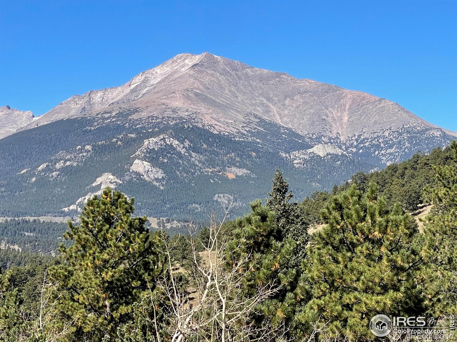 MLS Image #30 for 16744  peak to peak highway,allenspark, Colorado