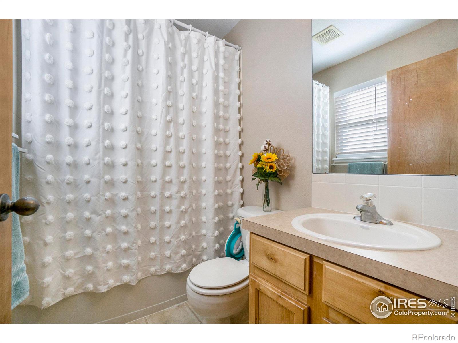 MLS Image #15 for 7185  mount adams street,wellington, Colorado