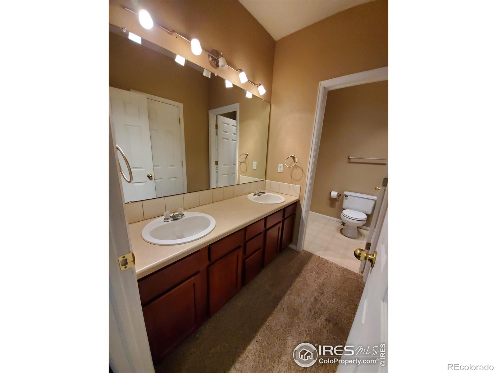 MLS Image #11 for 4651  dillon avenue,loveland, Colorado