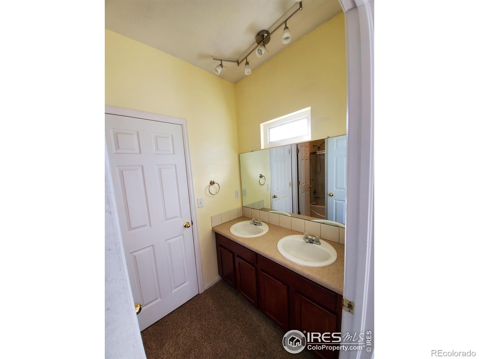 MLS Image #17 for 4651  dillon avenue,loveland, Colorado