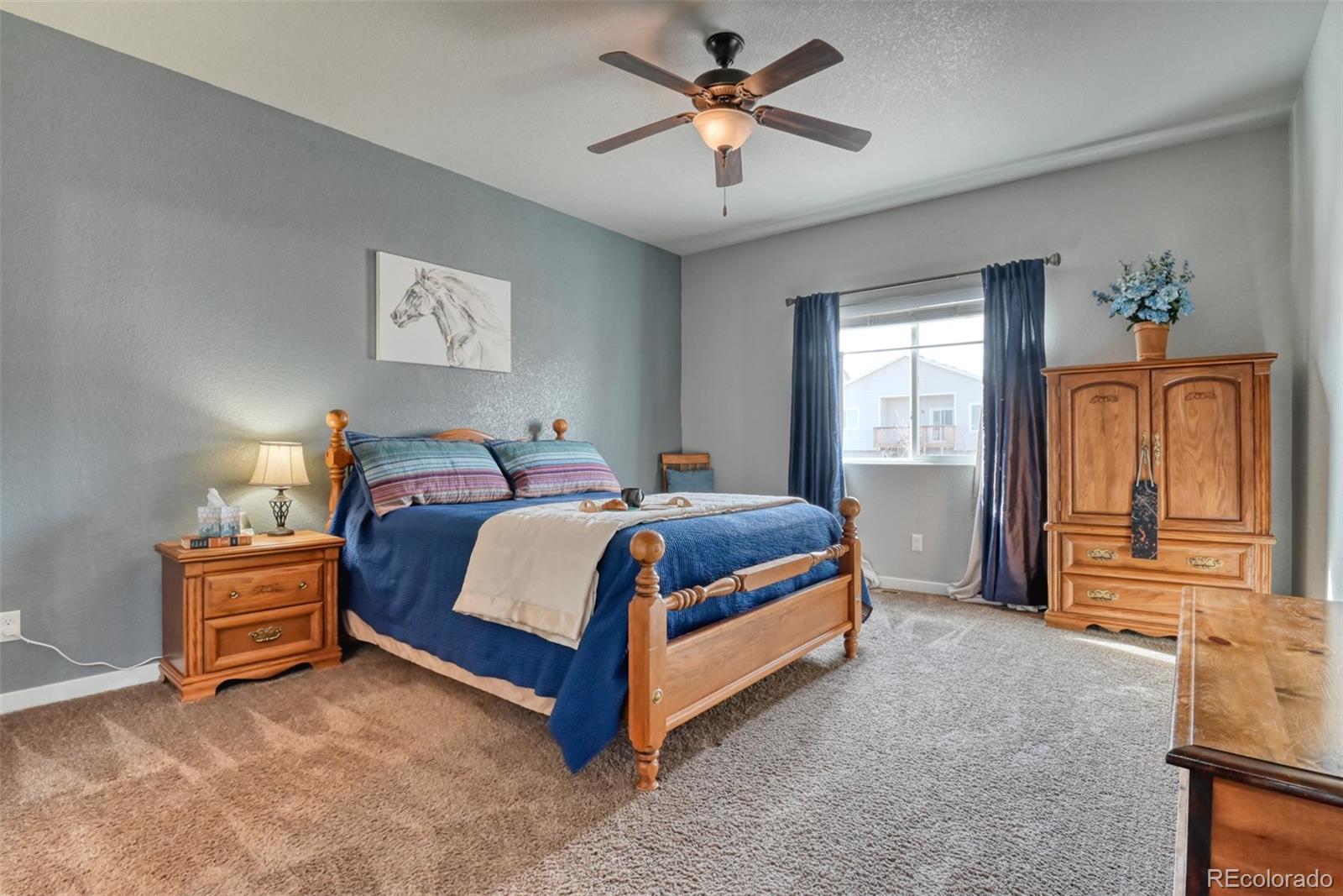 MLS Image #21 for 6898  tullamore drive,colorado springs, Colorado