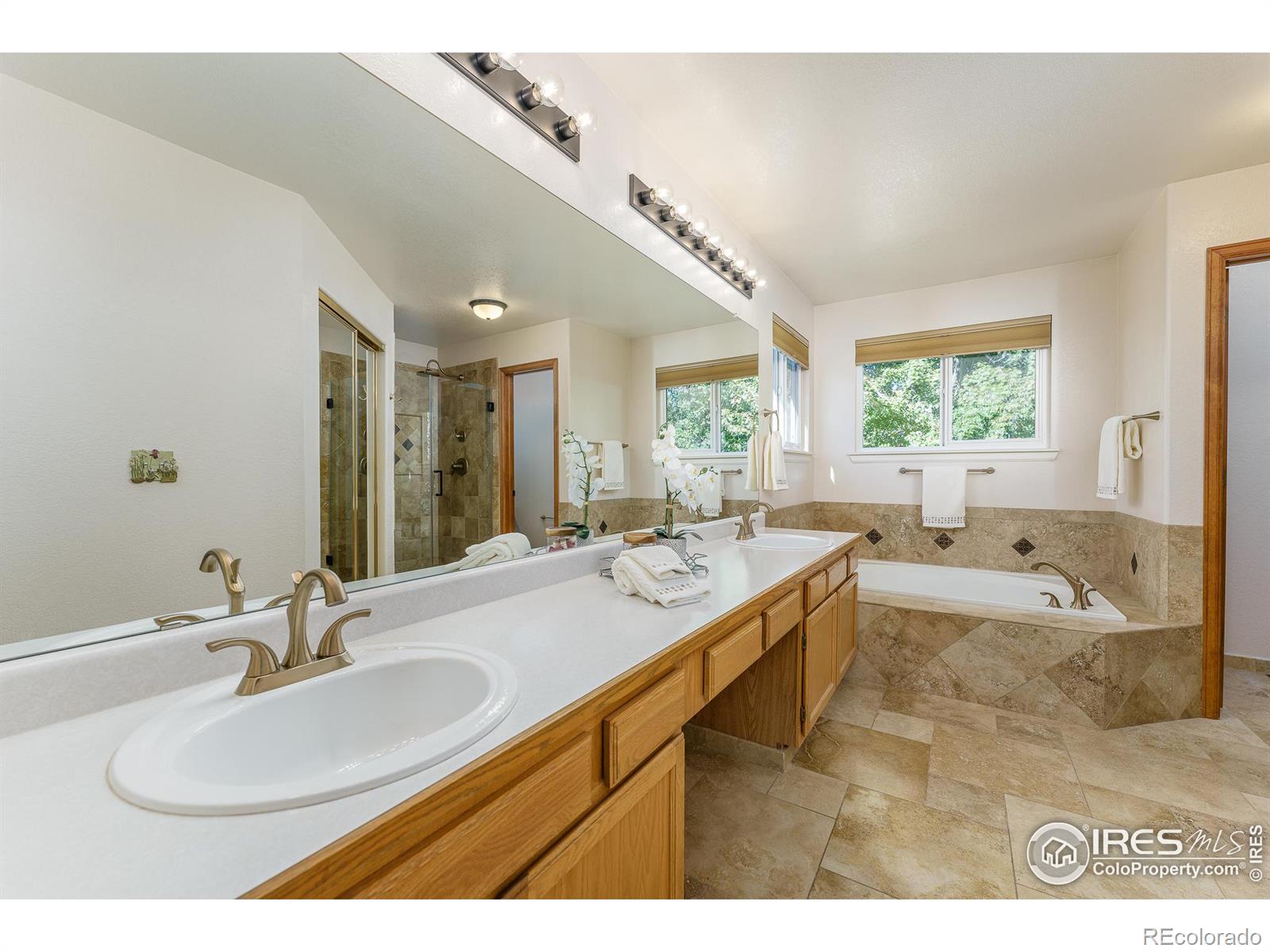 MLS Image #17 for 1585 s vilas court,superior, Colorado