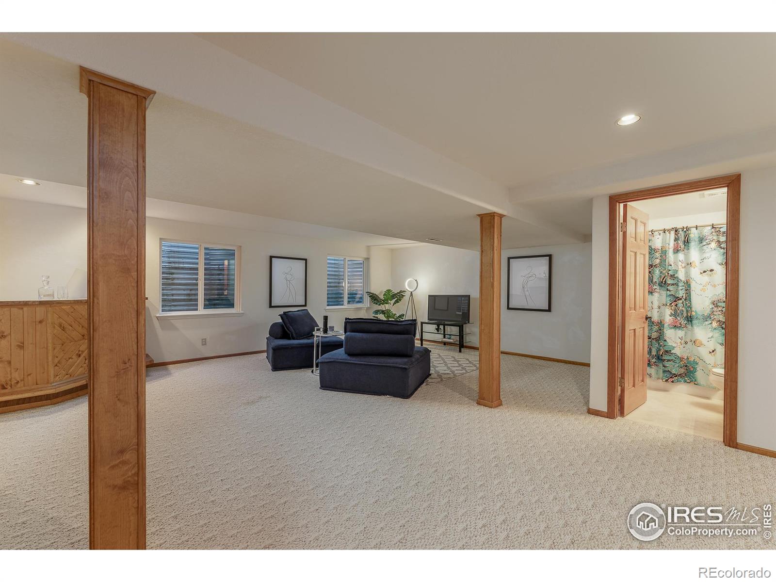 MLS Image #19 for 1585 s vilas court,superior, Colorado