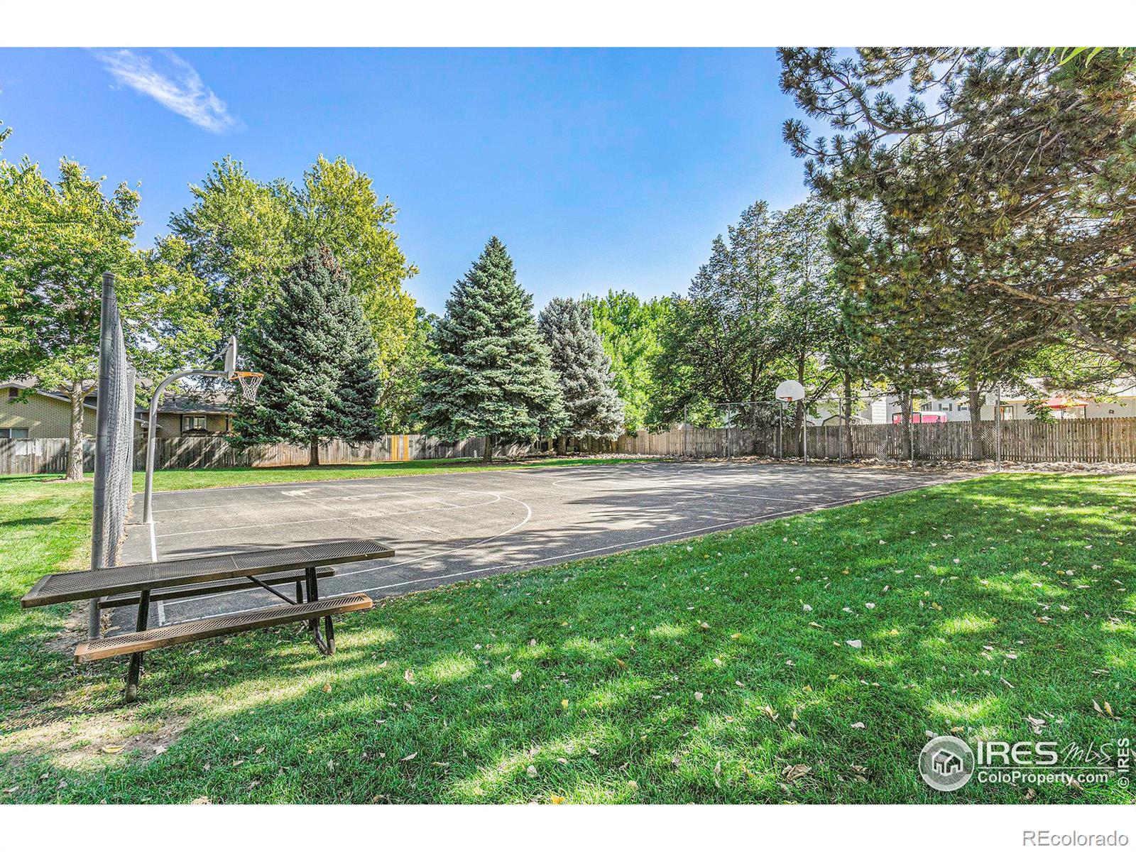 MLS Image #31 for 309  del clair road,fort collins, Colorado