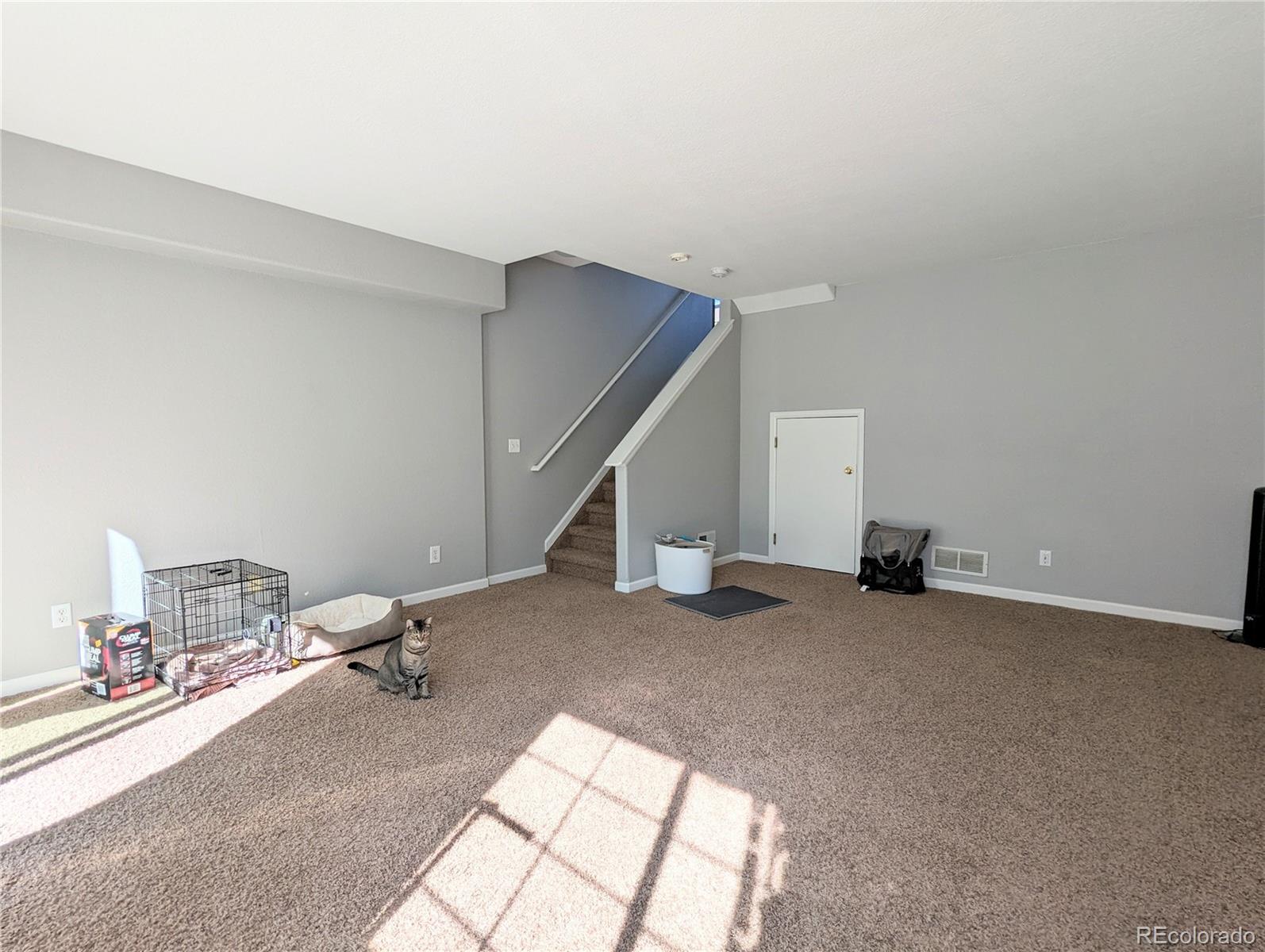 MLS Image #19 for 8199  welby road,thornton, Colorado