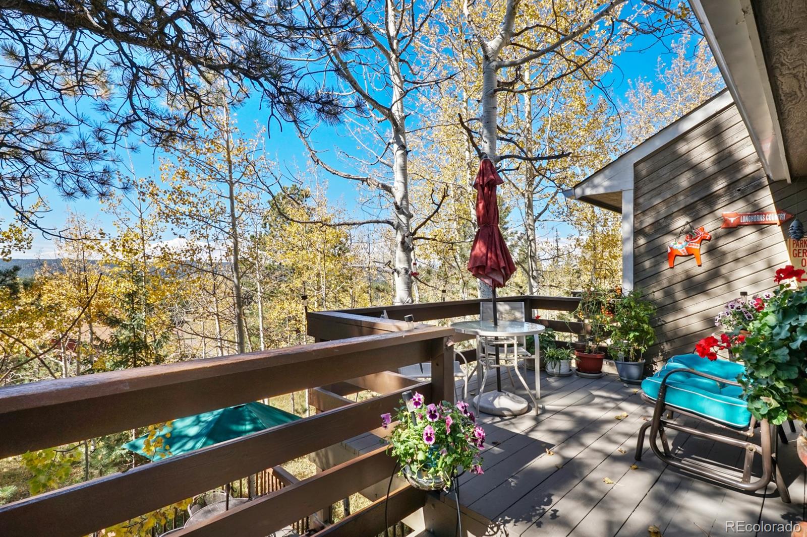 MLS Image #4 for 1140  forest edge road,woodland park, Colorado