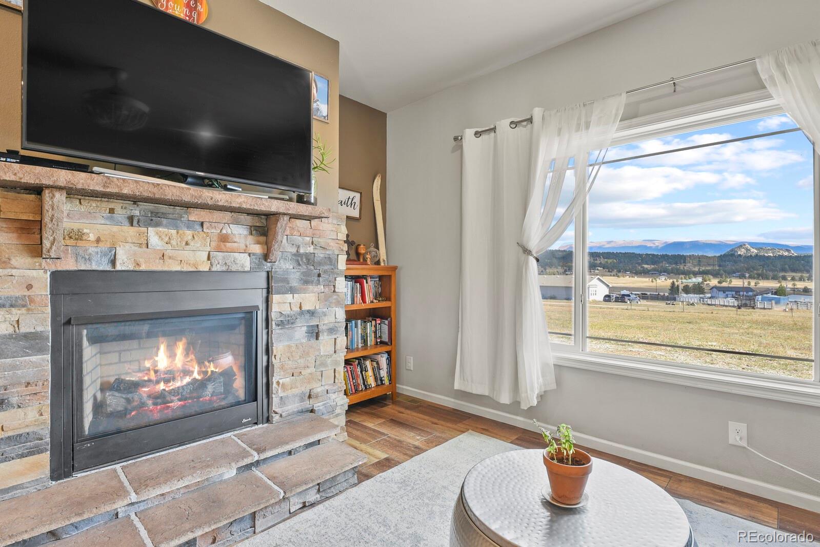 MLS Image #2 for 205  calle de la nieva ,florissant, Colorado