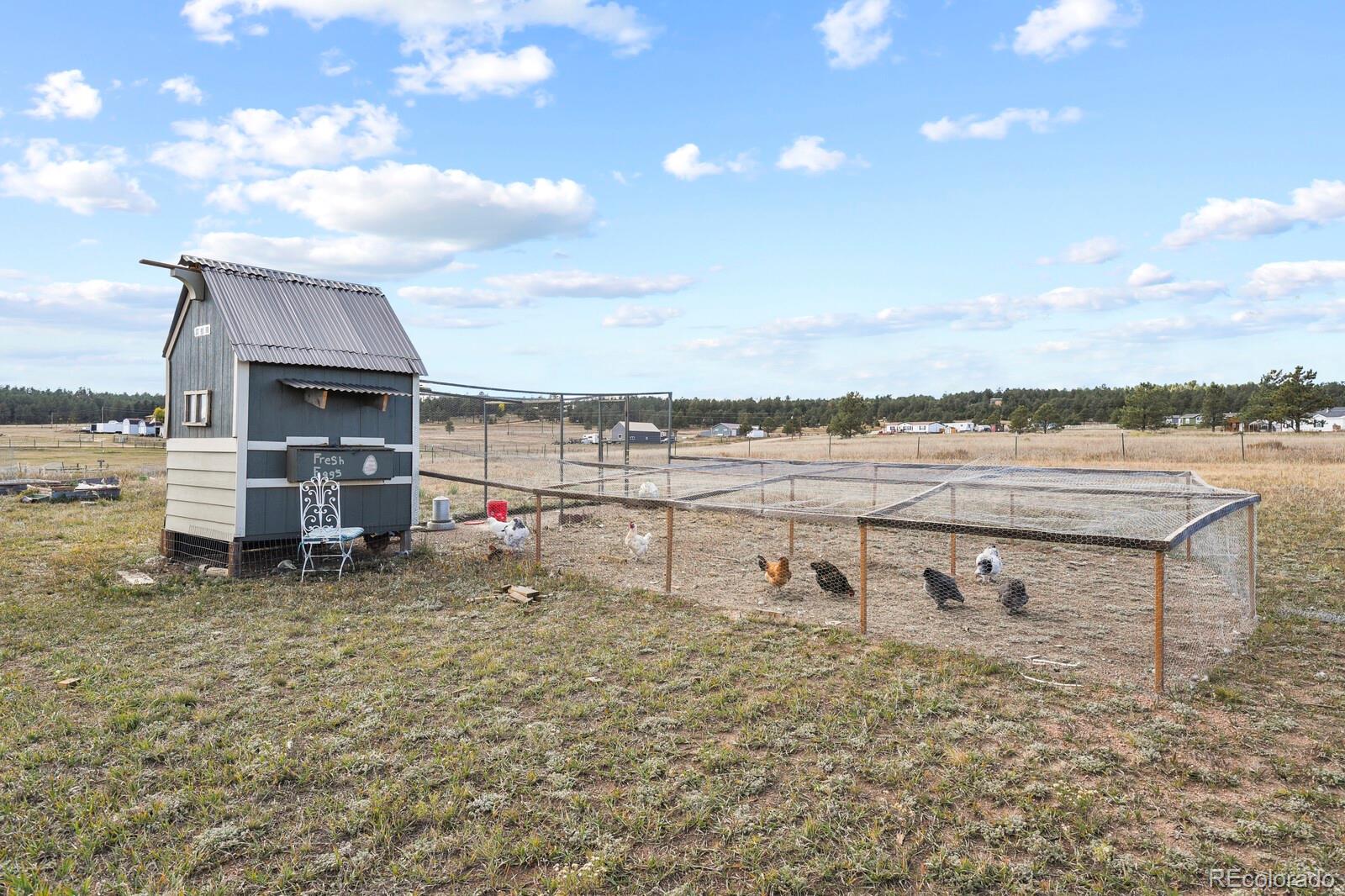 MLS Image #30 for 205  calle de la nieva ,florissant, Colorado