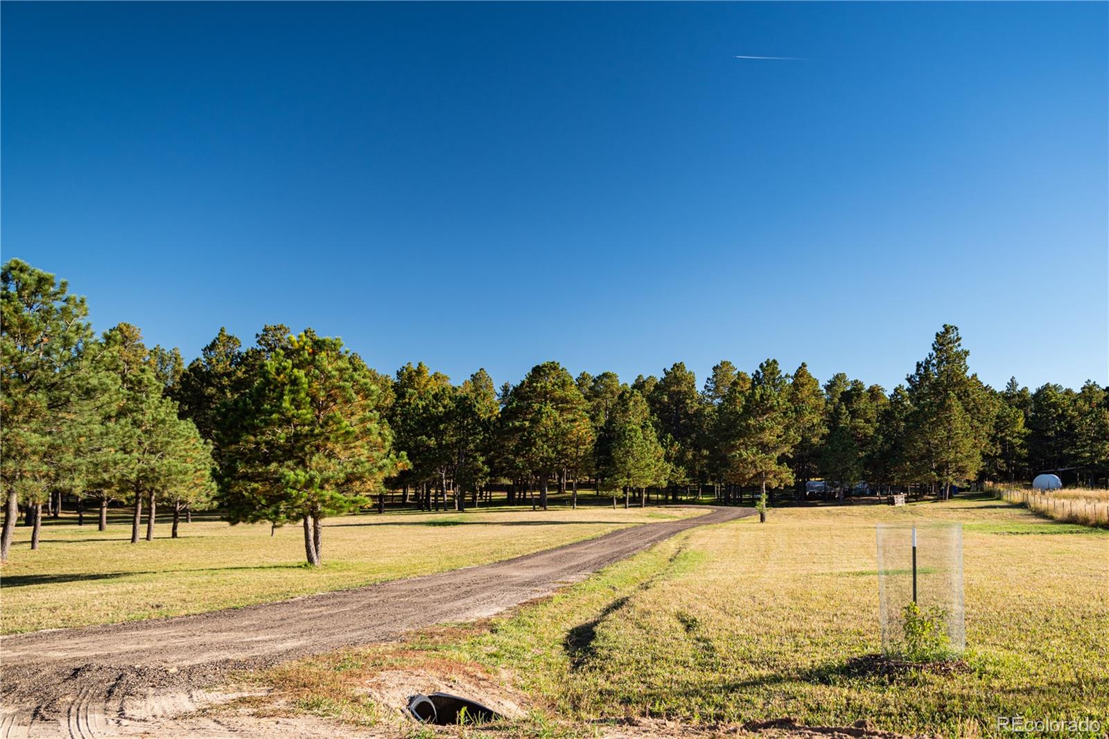 MLS Image #3 for 9775  walker road,colorado springs, Colorado