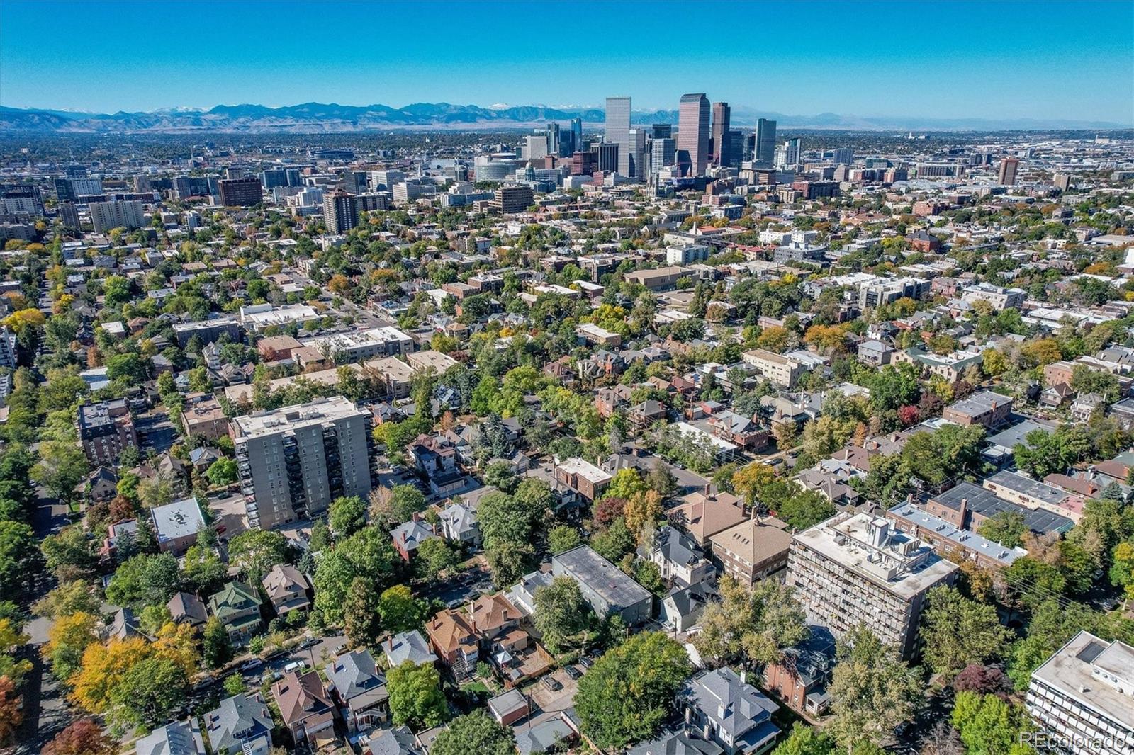 MLS Image #15 for 1056 n marion street 101,denver, Colorado