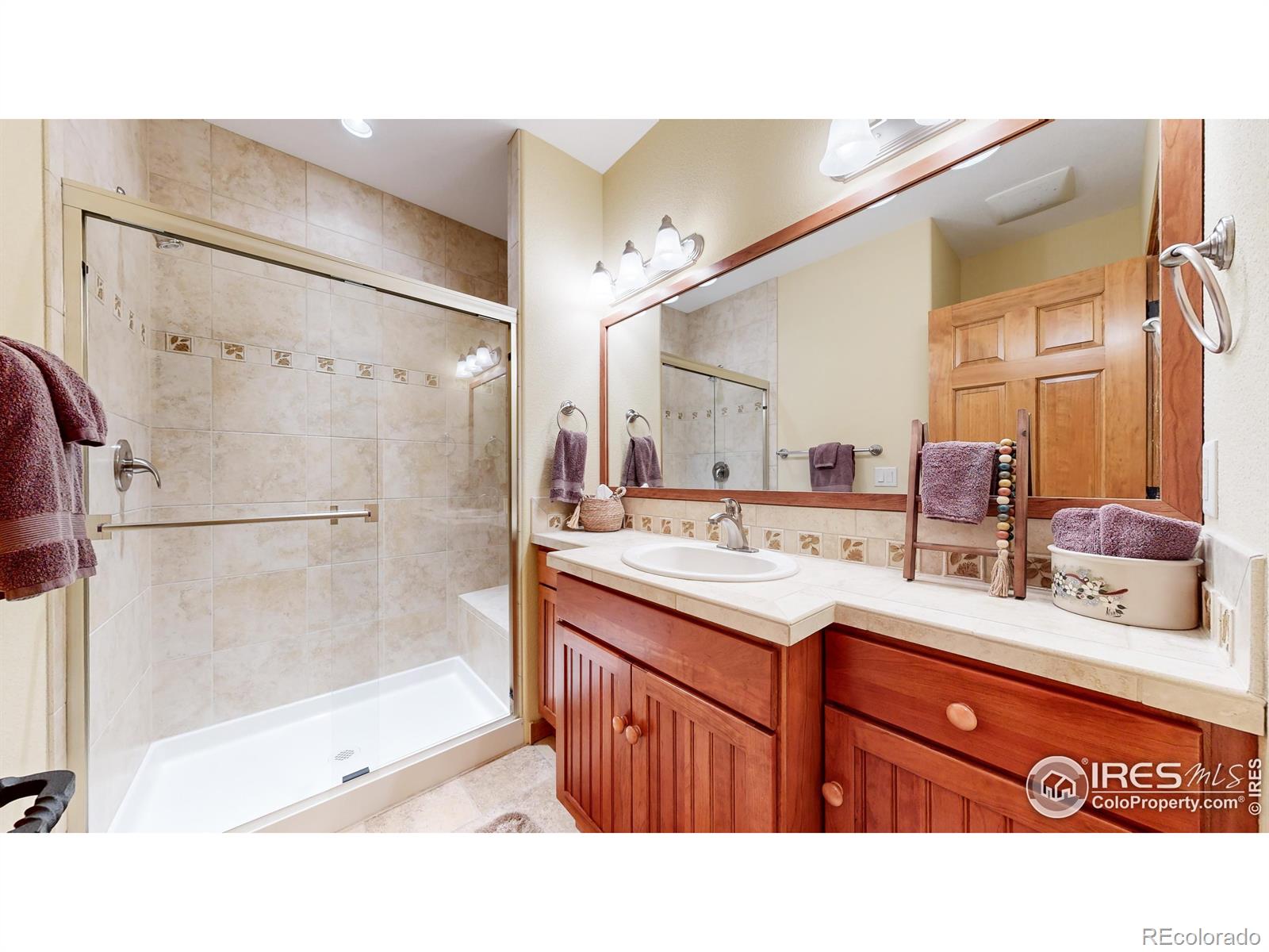 MLS Image #27 for 1401  deer path court,estes park, Colorado