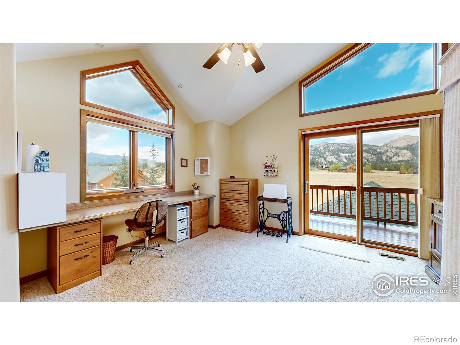 MLS Image #30 for 1401  deer path court,estes park, Colorado