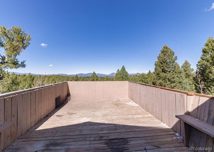 MLS Image #3 for 1895  county road 512 ,divide, Colorado