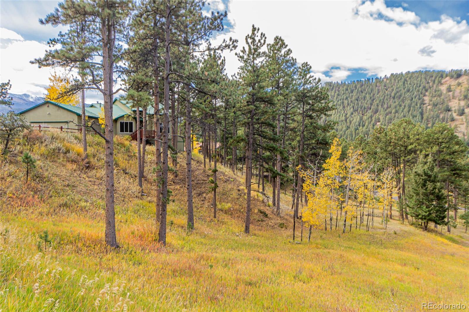 MLS Image #38 for 625  sunny glen court,woodland park, Colorado