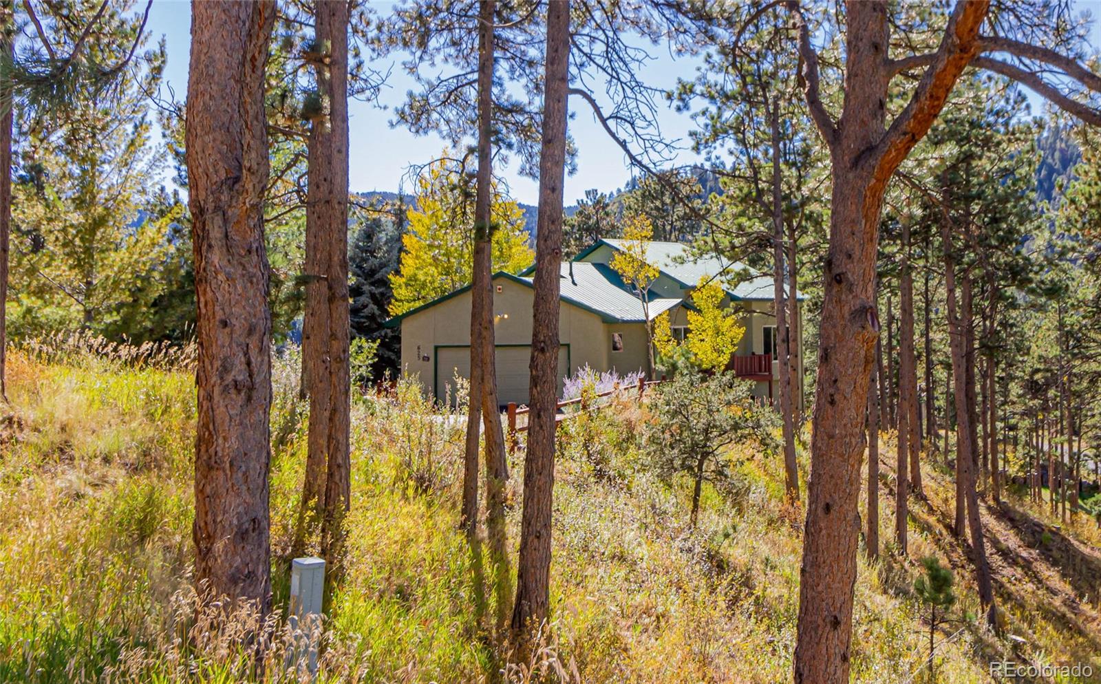 MLS Image #39 for 625  sunny glen court,woodland park, Colorado