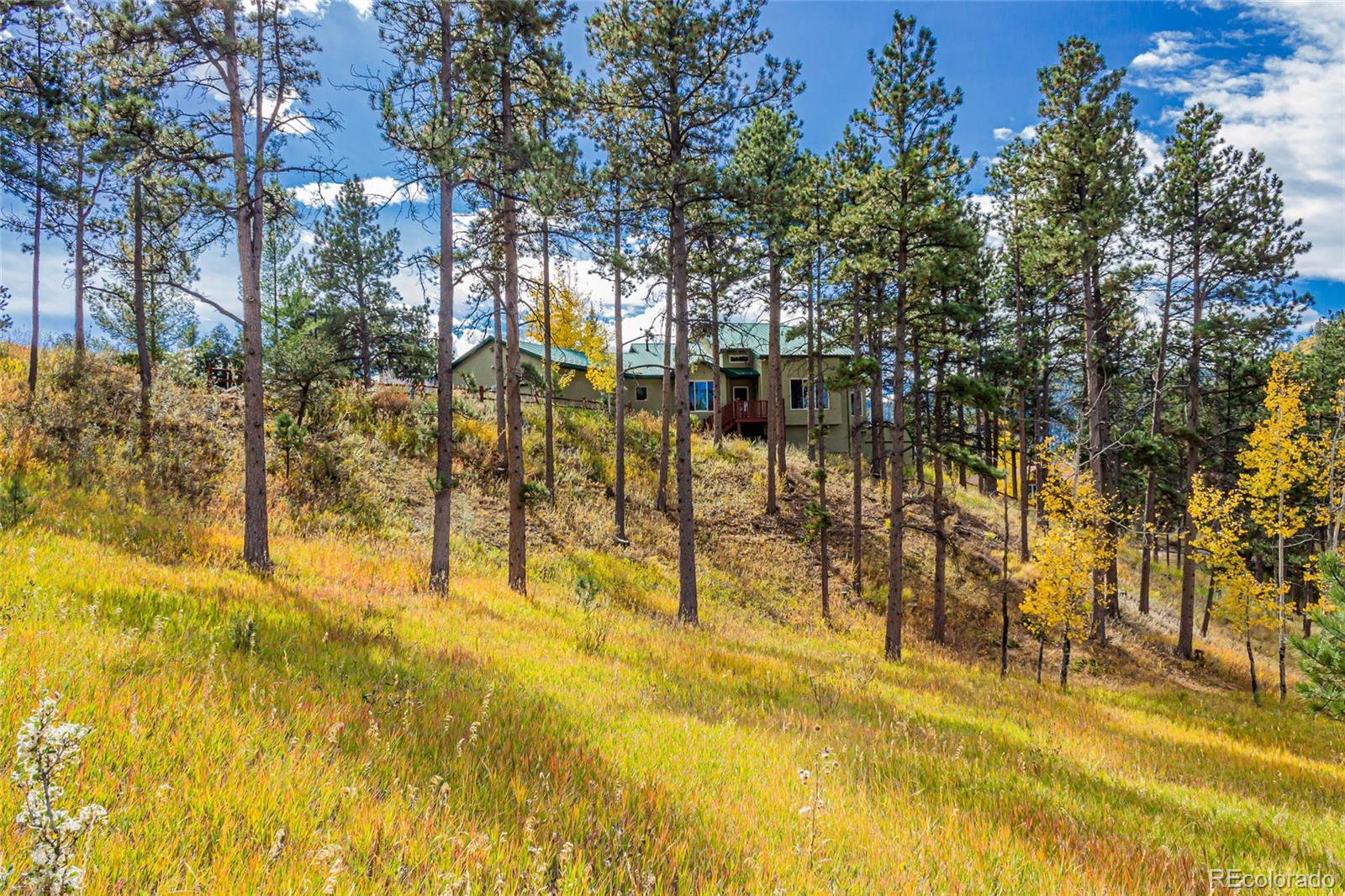 MLS Image #6 for 625  sunny glen court,woodland park, Colorado