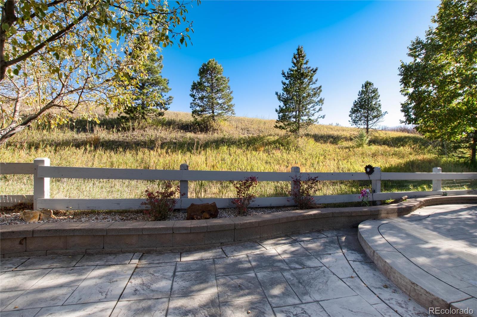 MLS Image #6 for 934  berganot trail,castle pines, Colorado