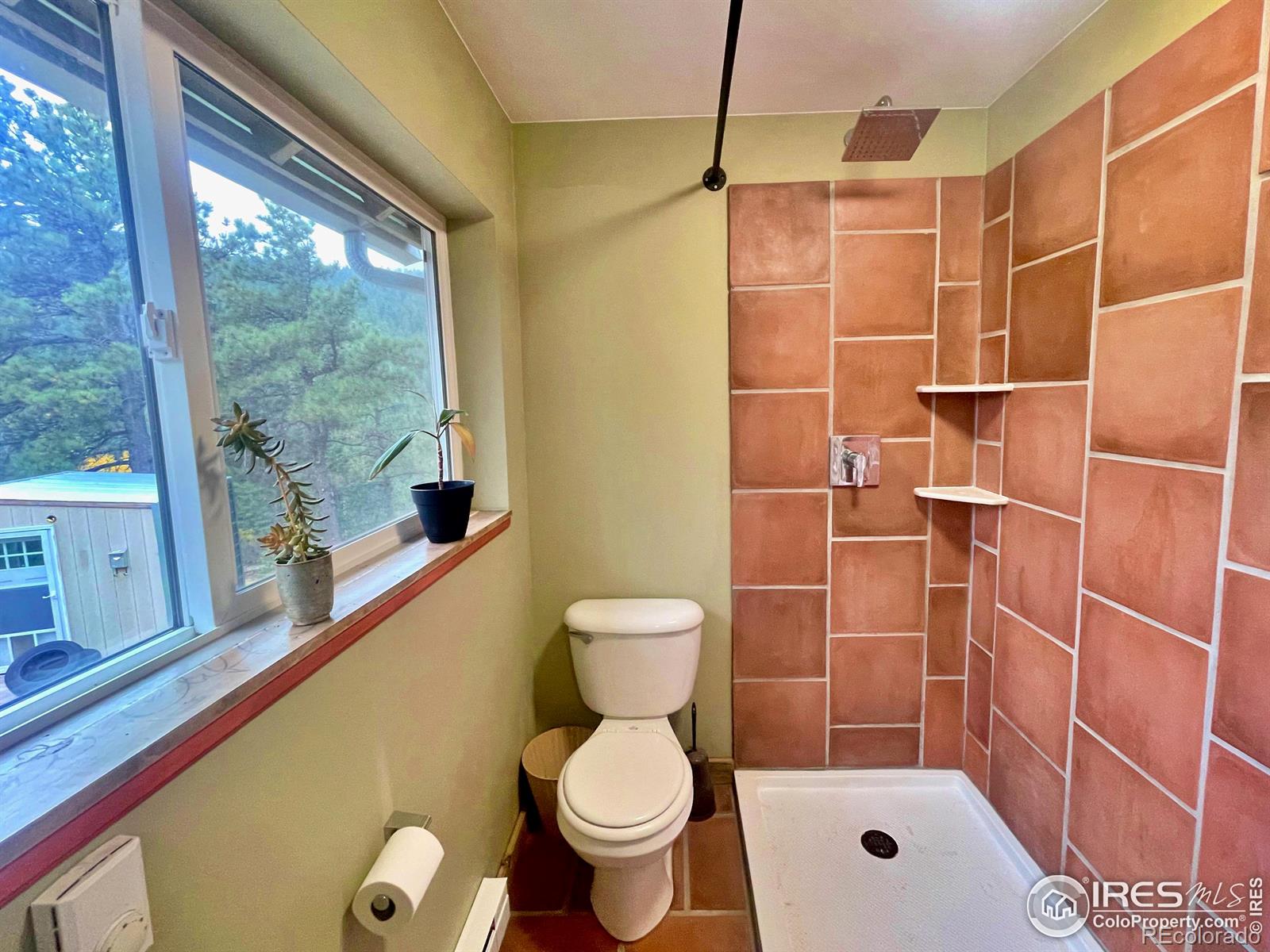 MLS Image #13 for 3575  coal creek canyon drive,pinecliffe, Colorado