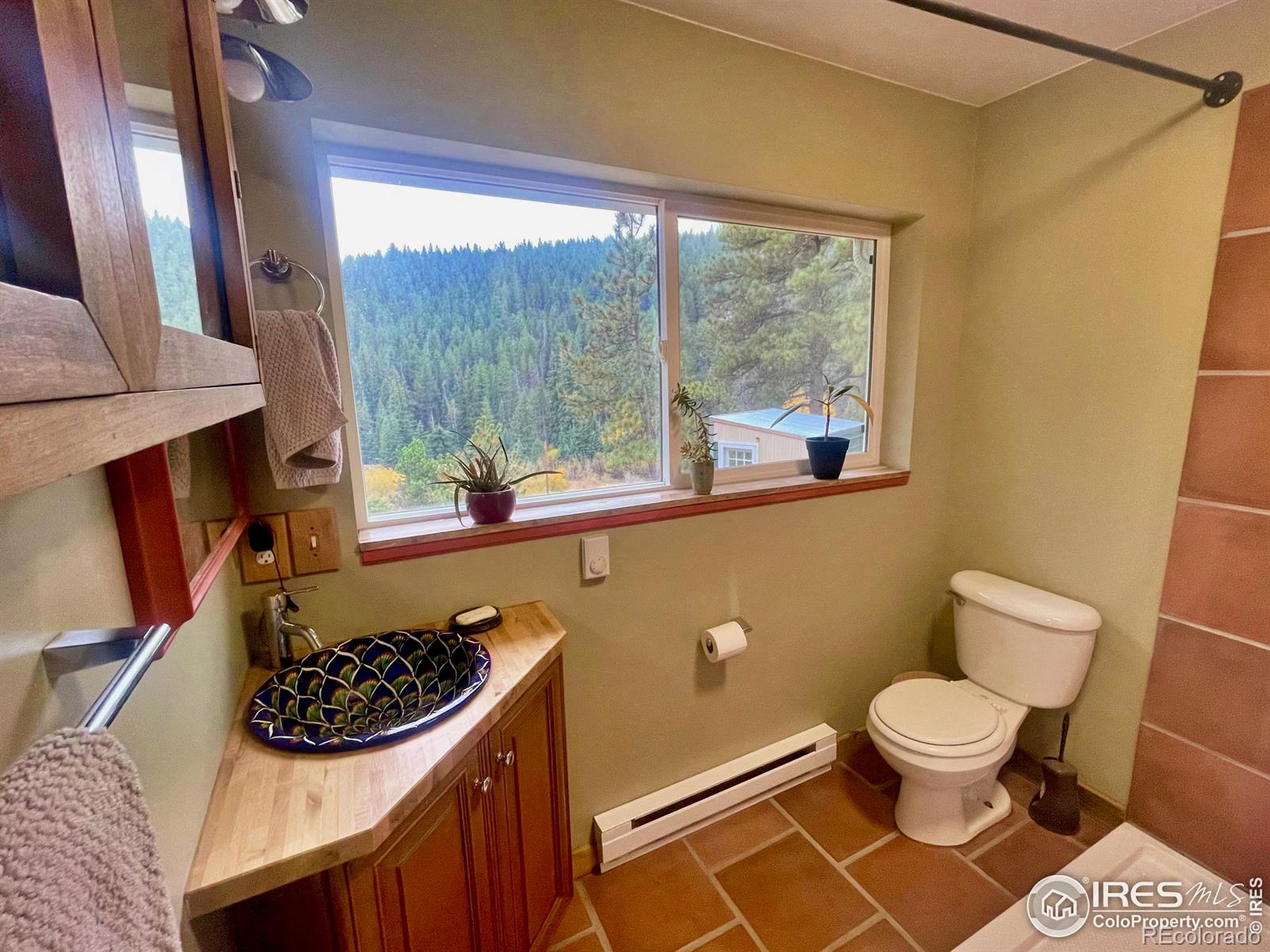 MLS Image #14 for 3575  coal creek canyon drive,pinecliffe, Colorado