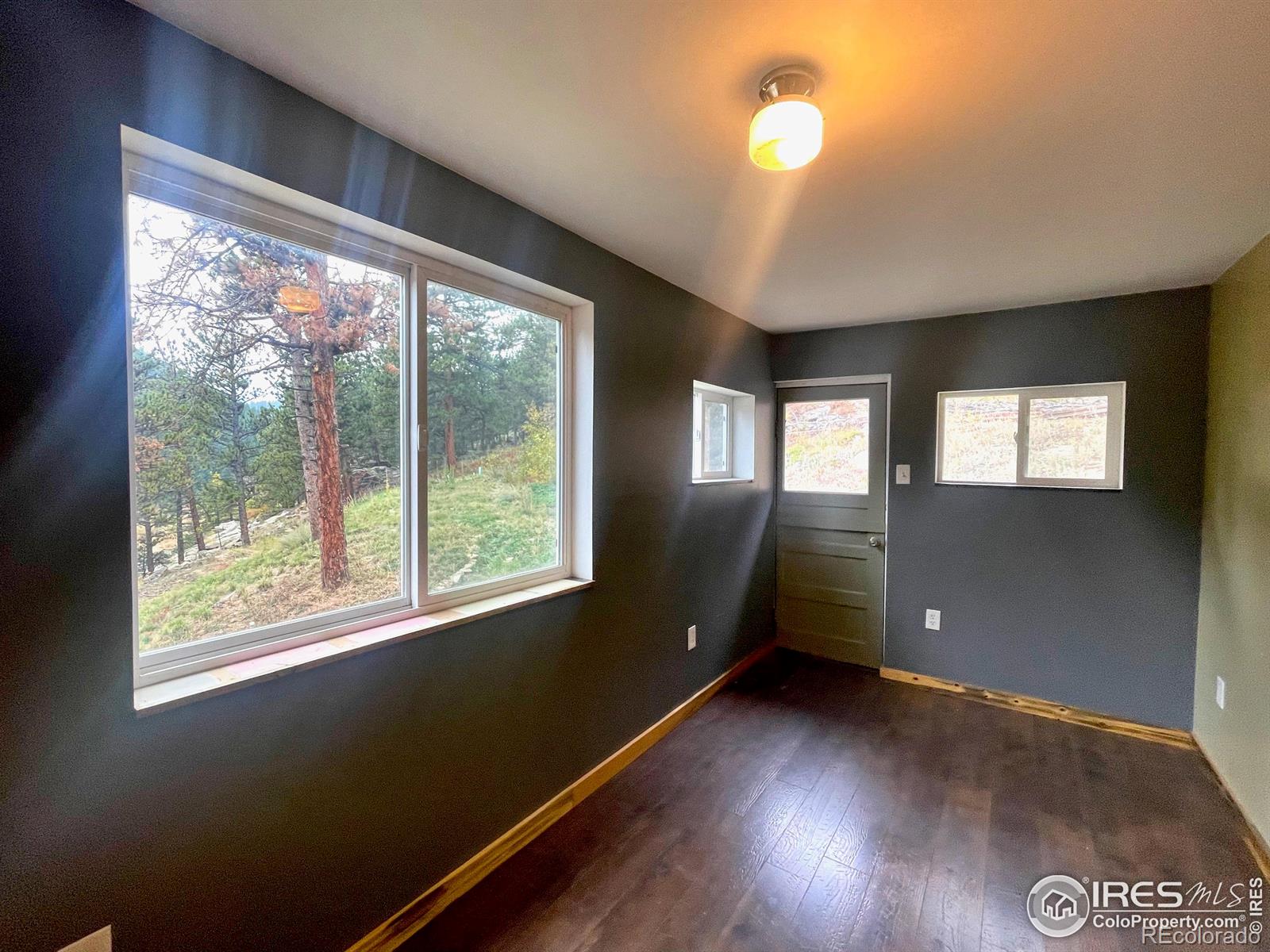 MLS Image #16 for 3575  coal creek canyon drive,pinecliffe, Colorado