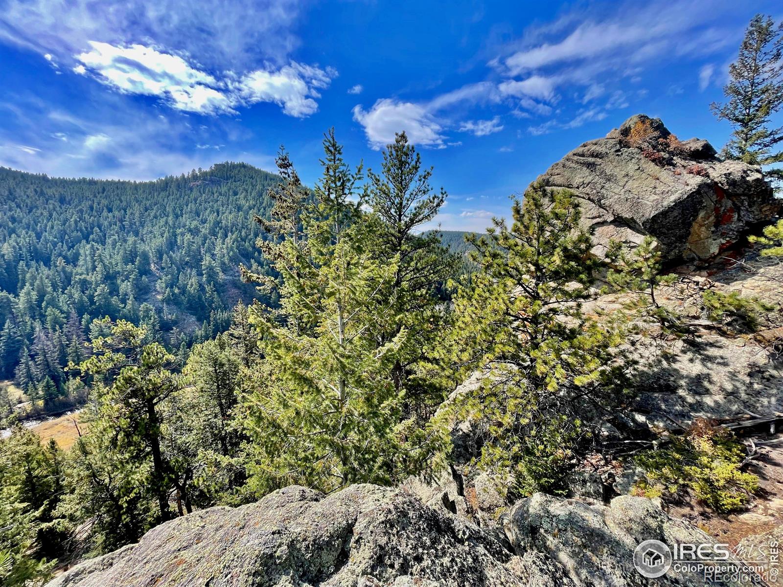 MLS Image #26 for 3575  coal creek canyon drive,pinecliffe, Colorado