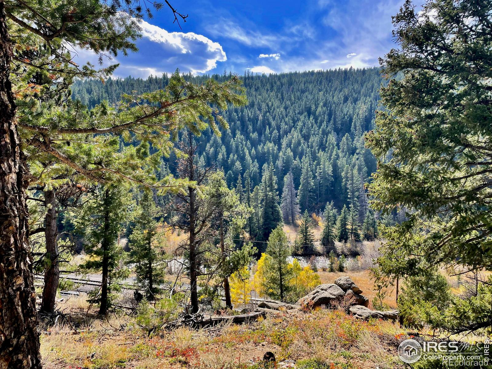 MLS Image #28 for 3575  coal creek canyon drive,pinecliffe, Colorado