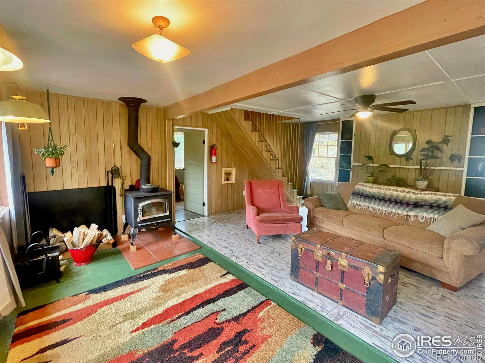 MLS Image #5 for 3575  coal creek canyon drive,pinecliffe, Colorado