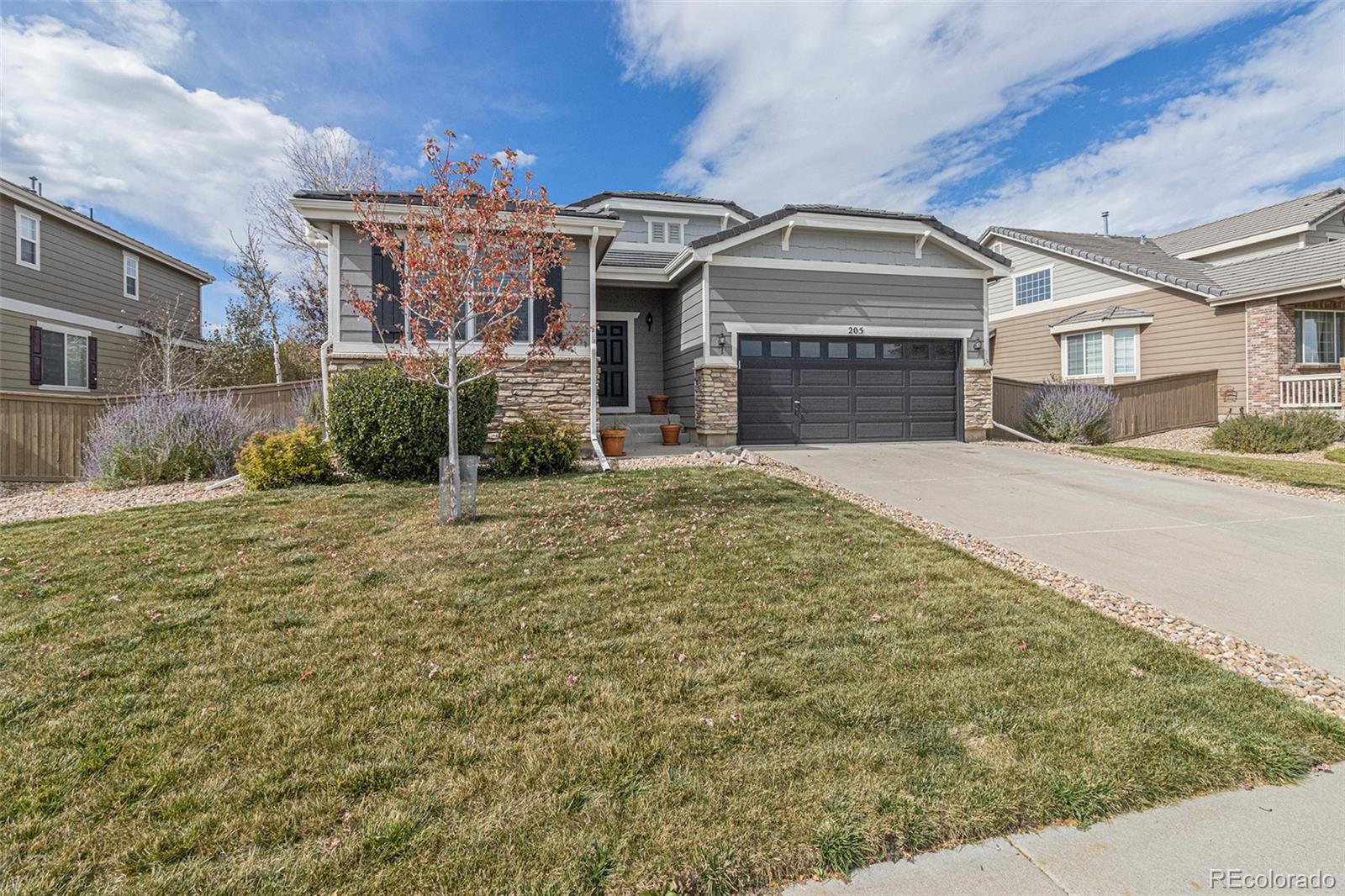 Report Image for 205  Lovington Street,Castle Rock, Colorado