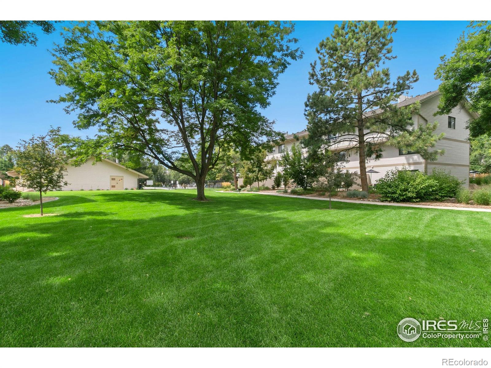 MLS Image #16 for 1705  heatheridge road,fort collins, Colorado