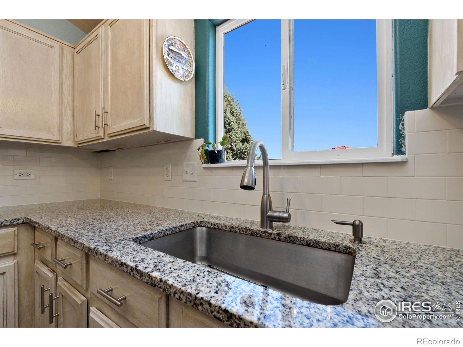 MLS Image #10 for 3594  whetstone way,mead, Colorado