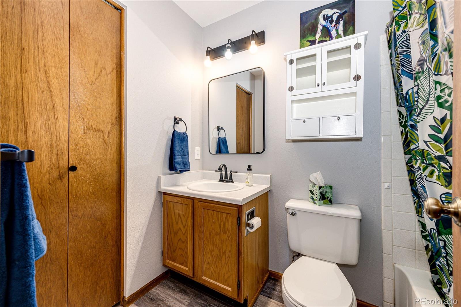 MLS Image #24 for 55 n bedford avenue,castle rock, Colorado