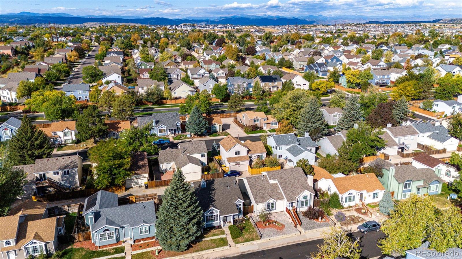 MLS Image #31 for 55 n bedford avenue,castle rock, Colorado