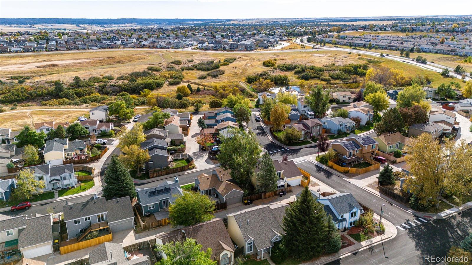 MLS Image #6 for 55 n bedford avenue,castle rock, Colorado