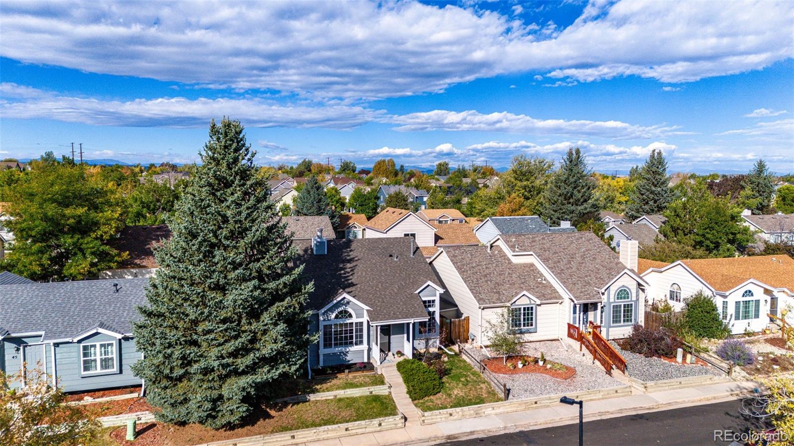 MLS Image #8 for 55 n bedford avenue,castle rock, Colorado