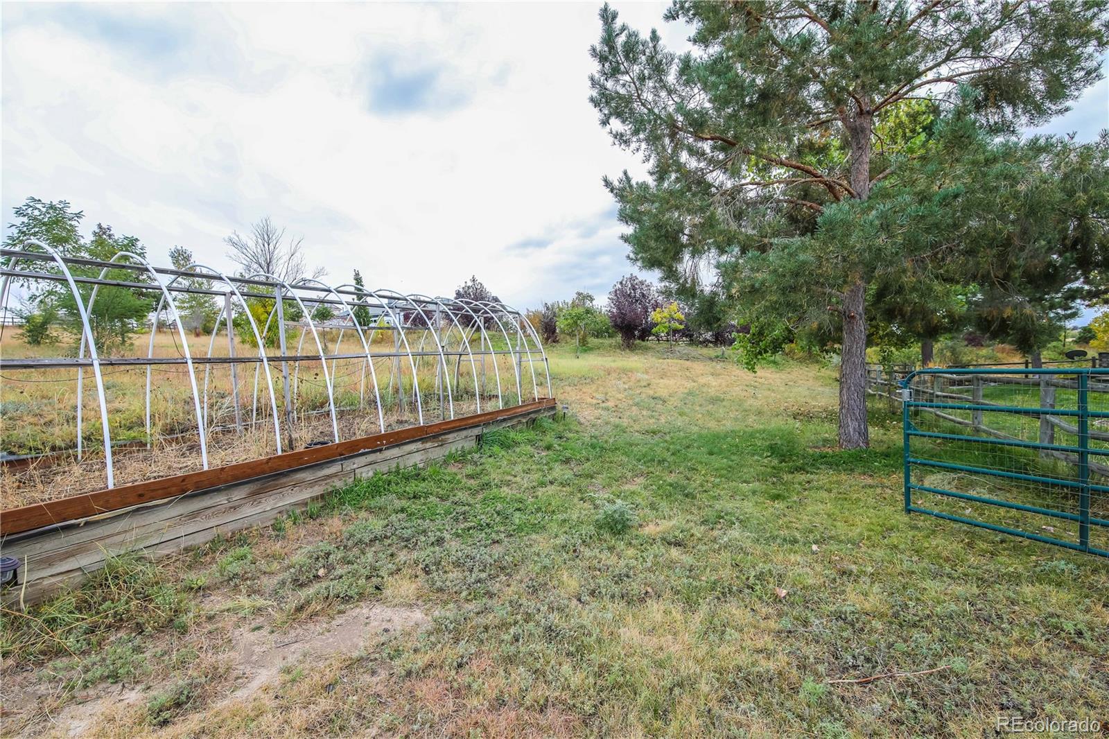 MLS Image #34 for 3010  coal creek street,parker, Colorado