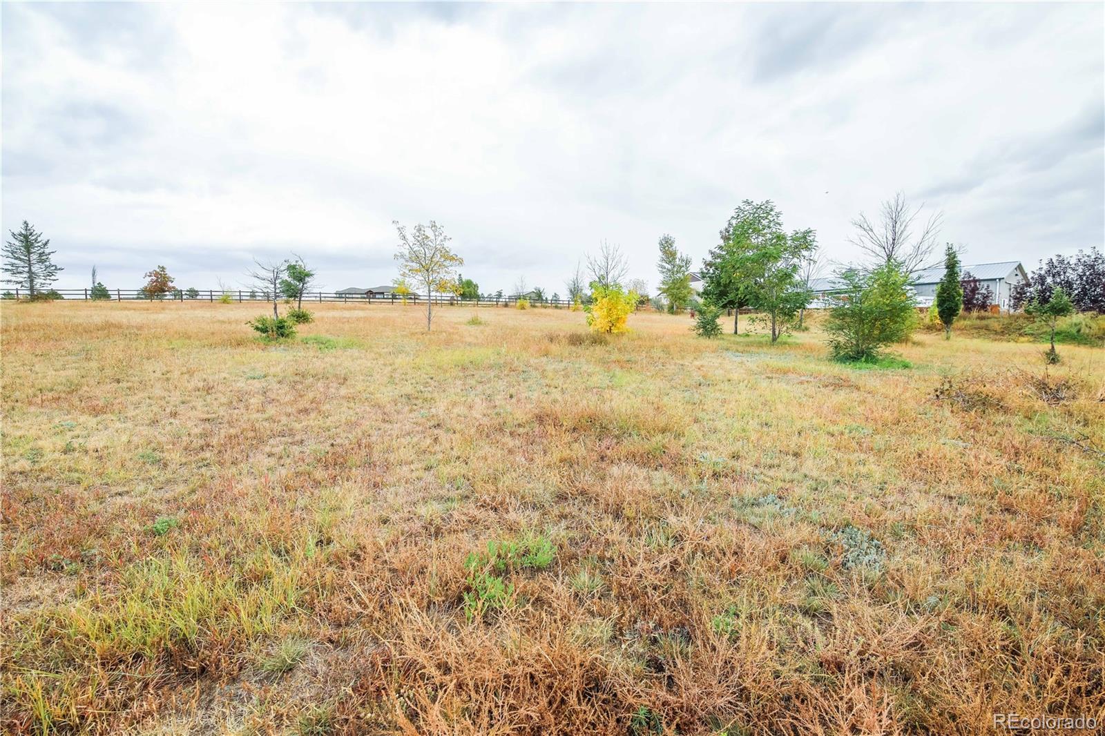 MLS Image #36 for 3010  coal creek street,parker, Colorado