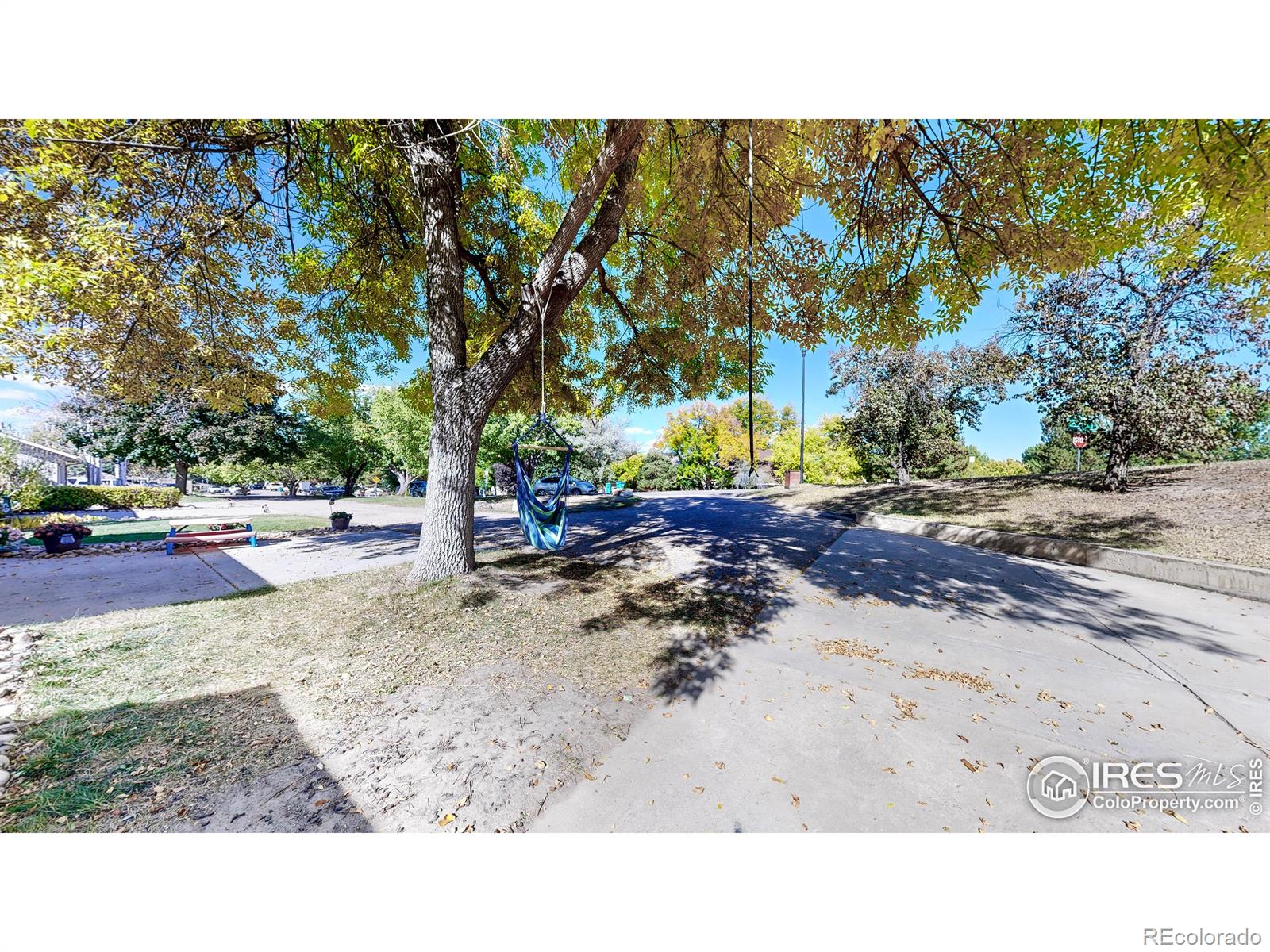 MLS Image #33 for 5331  fossil ridge drive,fort collins, Colorado