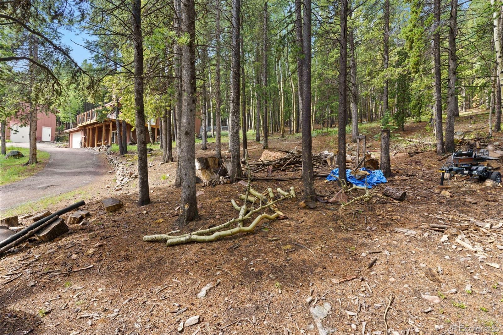 MLS Image #36 for 10807  timothys drive,conifer, Colorado