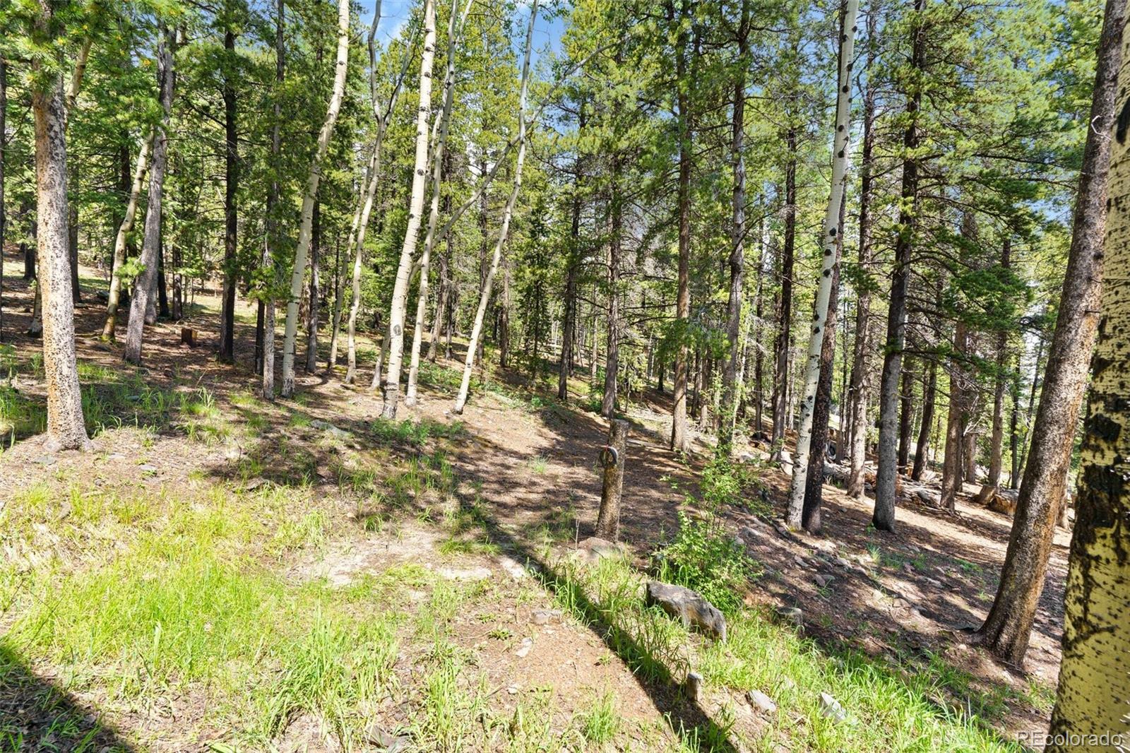 MLS Image #37 for 10807  timothys drive,conifer, Colorado