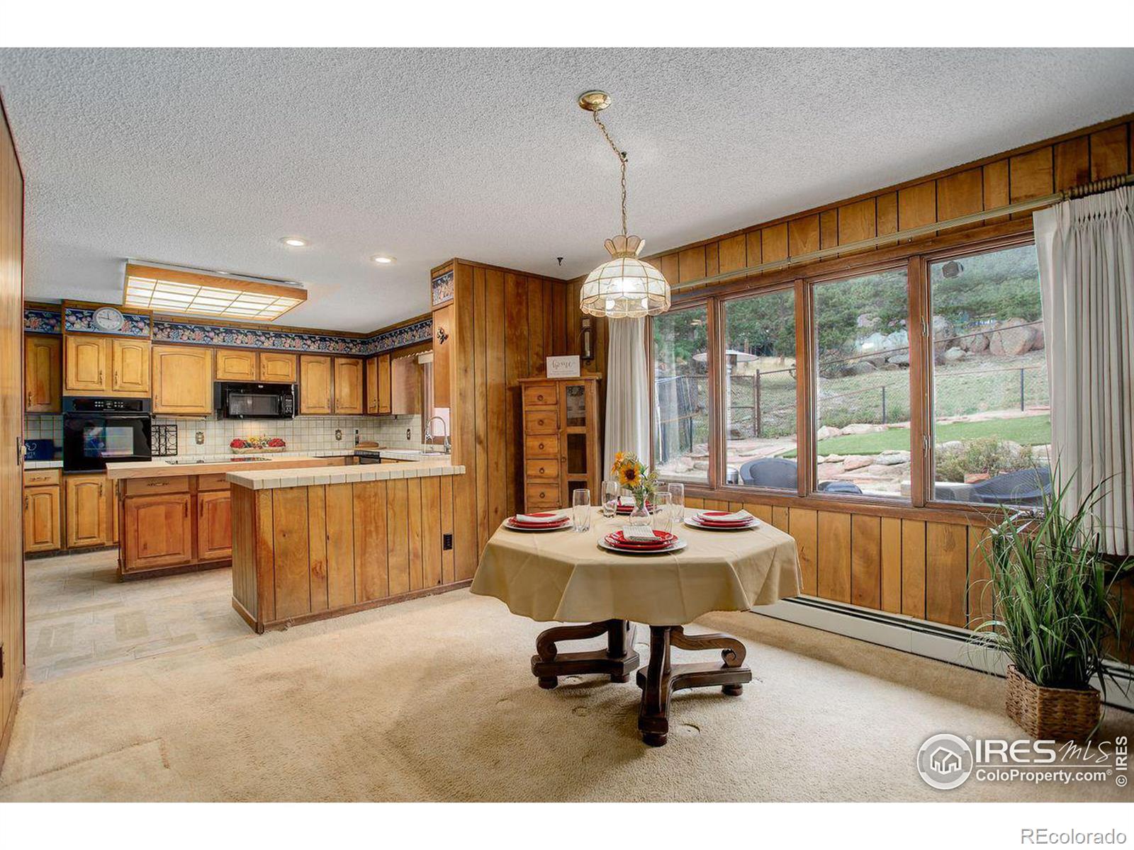 MLS Image #12 for 1251  tall pines drive,estes park, Colorado