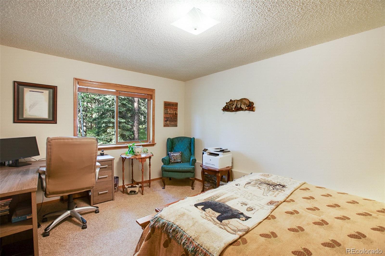 MLS Image #29 for 3415  regent drive,woodland park, Colorado