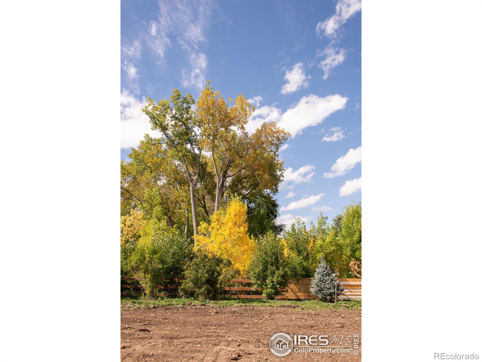 MLS Image #19 for 5610  baseline road,boulder, Colorado