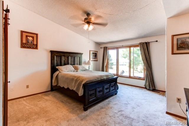 MLS Image #15 for 6636  pinewood drive,parker, Colorado