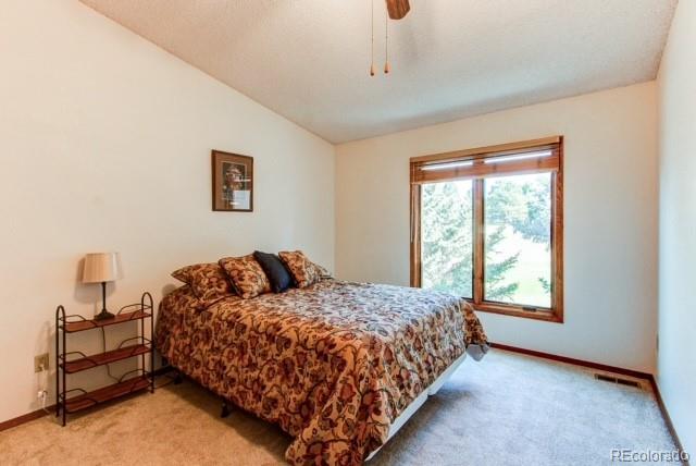 MLS Image #23 for 6636  pinewood drive,parker, Colorado