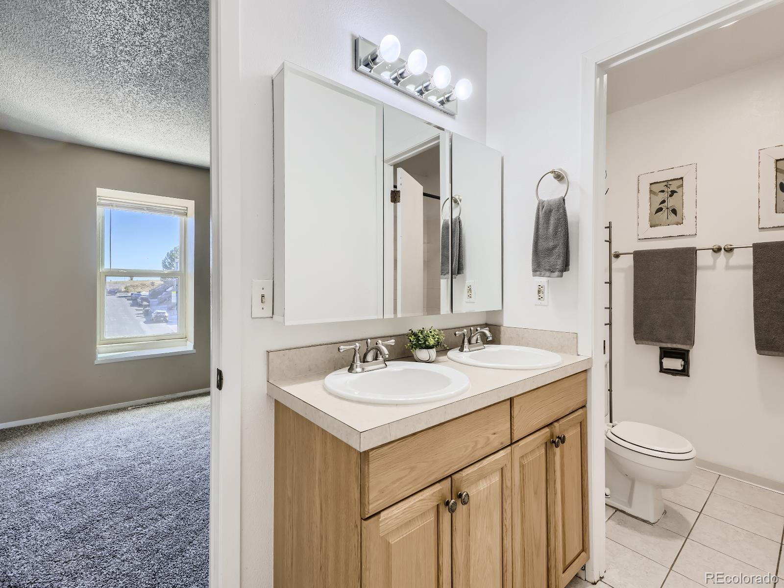 MLS Image #9 for 2125 e 103rd place,thornton, Colorado