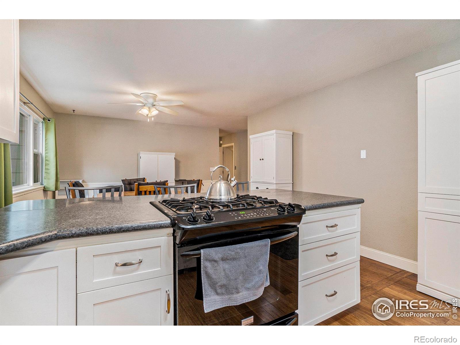 MLS Image #12 for 317  7th street,windsor, Colorado