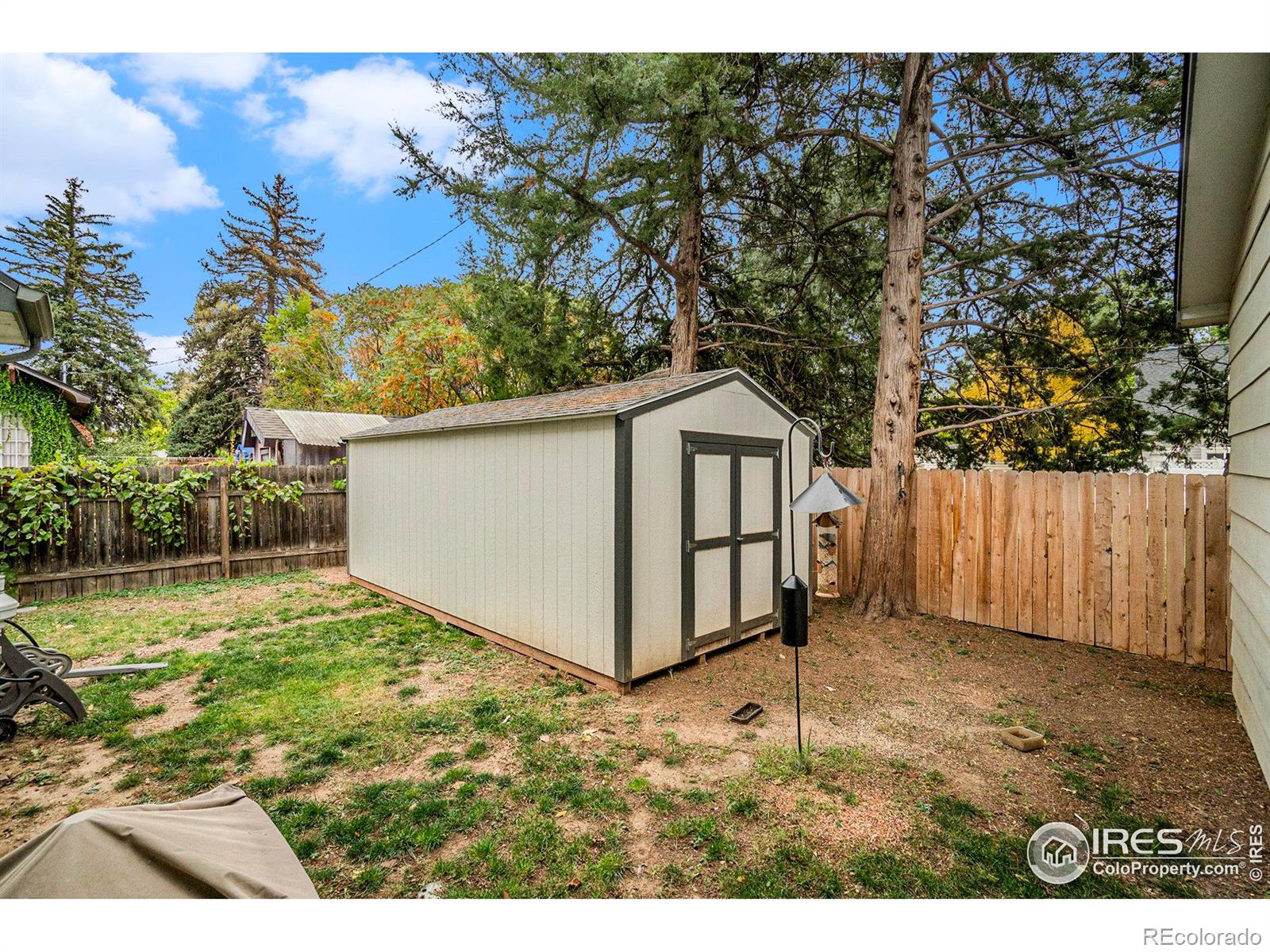 MLS Image #35 for 317  7th street,windsor, Colorado